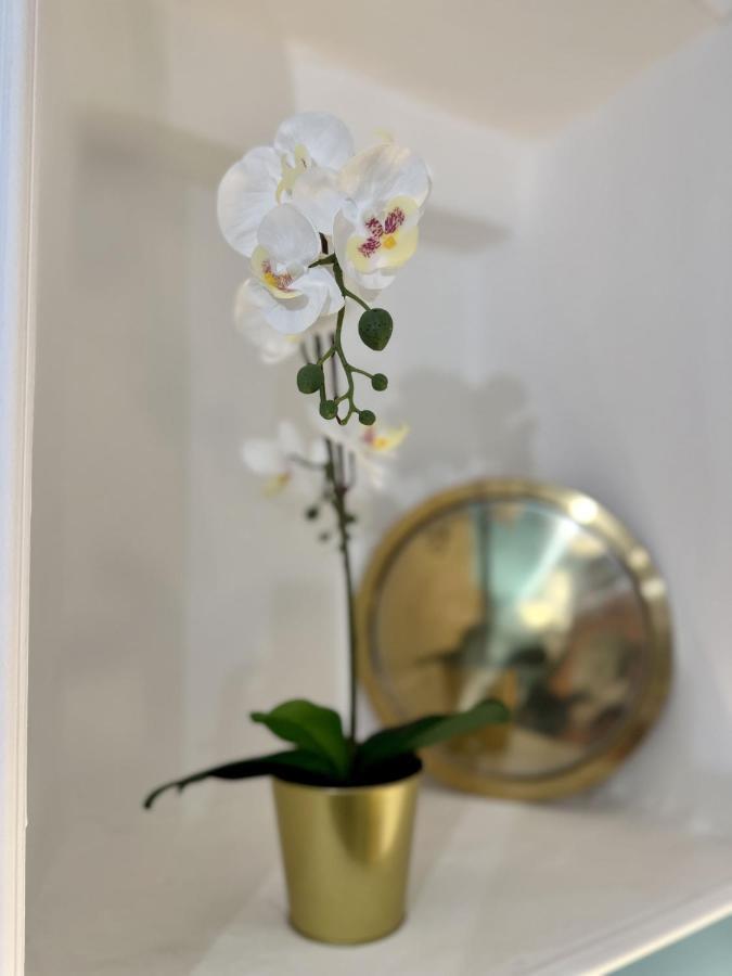 Aquarium Exclusive Loft - Private Parking Appartement Genua Buitenkant foto